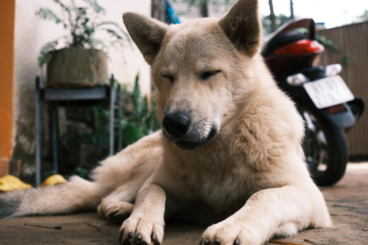 Tron Homestay Kon Von Kla Ngoại thất bức ảnh