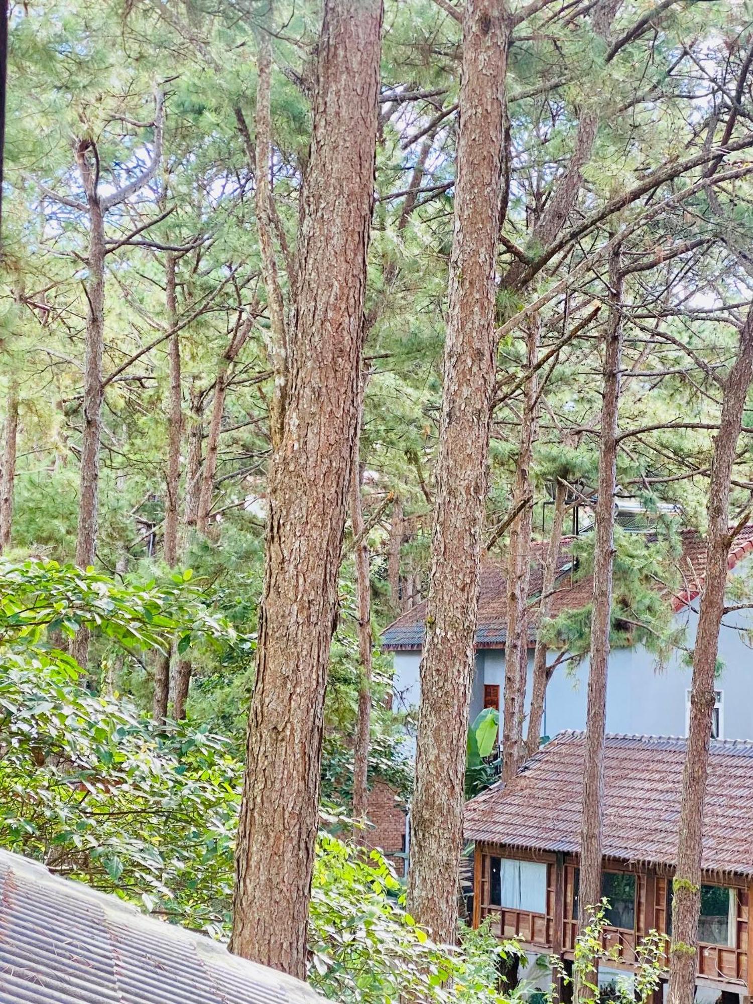 Tron Homestay Kon Von Kla Ngoại thất bức ảnh
