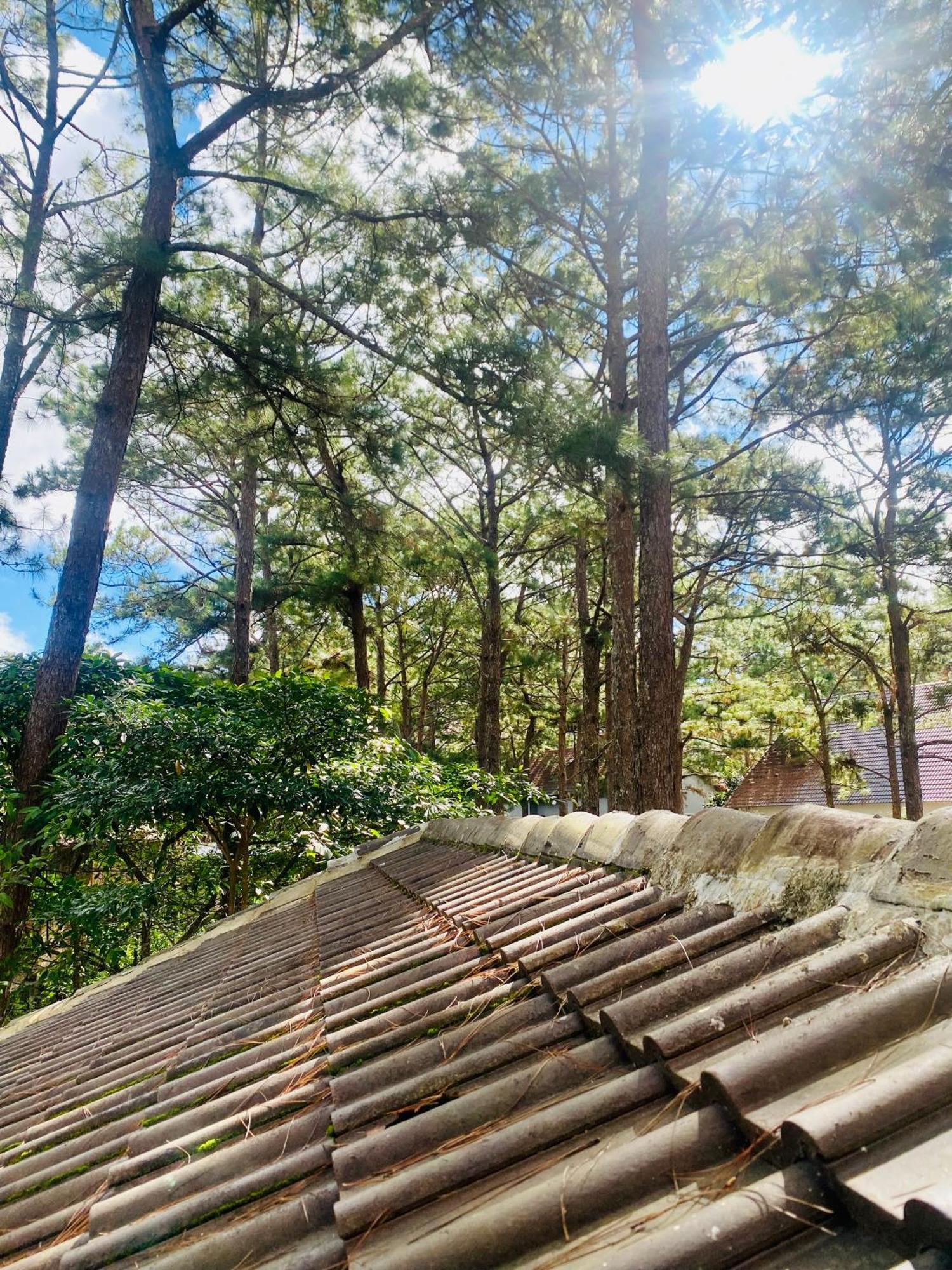 Tron Homestay Kon Von Kla Ngoại thất bức ảnh
